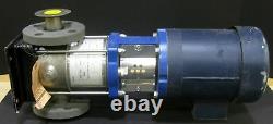 Myers Pump Model 23020040dp 304 Ss Flanged Pump 1 HP Leeson Motor New Old Stock